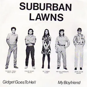 Suburban Lawns