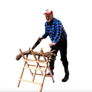 Wild Classical Music Ensemble