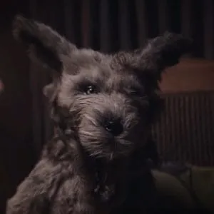 Flying Lotus + David Lynch