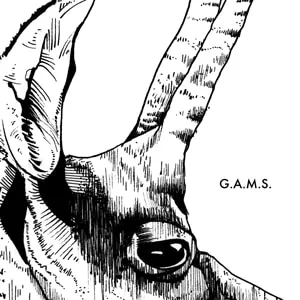 G.A.M.S