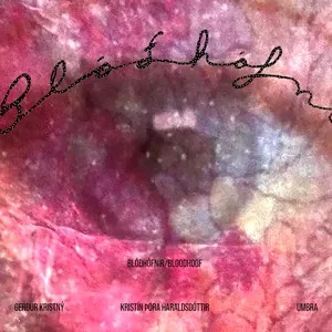 Kristin Thora Haraldsdottir