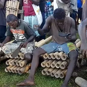 Bambous de Bougainville