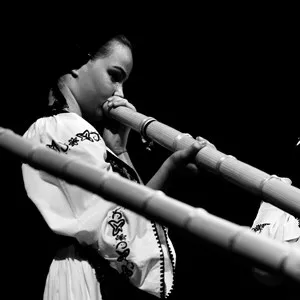 The Tulnic Ensemble of Avram Iancu