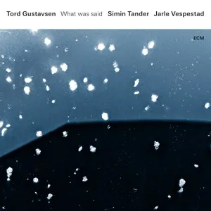 Tord Gustavsen + Simin Tander + Jarle Vespestad