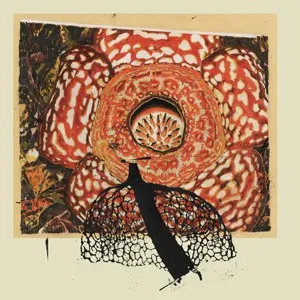 David Fenech & Klimperei - Rainbow de Nuit