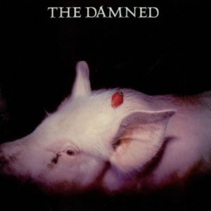 The Damned + Caetano Veloso