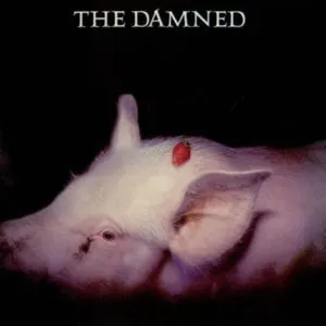 The Damned + Caetano Veloso