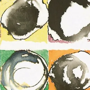 ROVA Saxophone Quartet