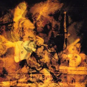 Nature And Organisation