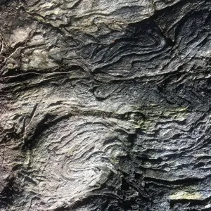 Astrid Øster Mortensen