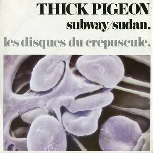 Thick Pigeon