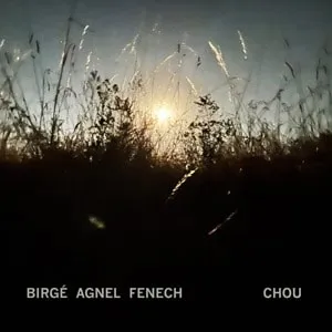 Jean-Jacques Birgé + Sophie Agnel + David Fenech