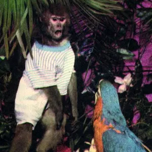 Bonne Humeur Provisoire