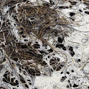 CS + Kreme + Bridget St John