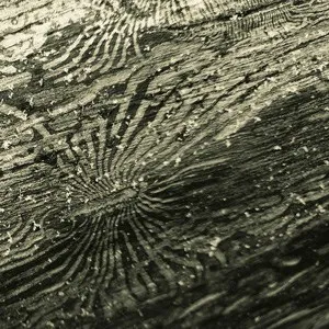 Raphael Rogiń​ski