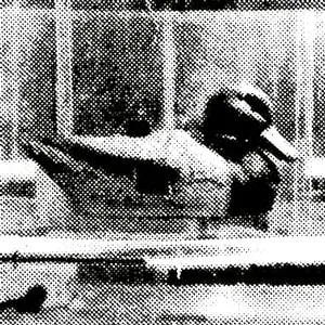 Mark Glynne + Bart Zwier