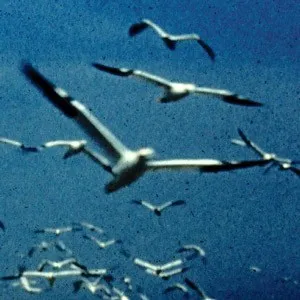 Thinking Fellers Union Local 282