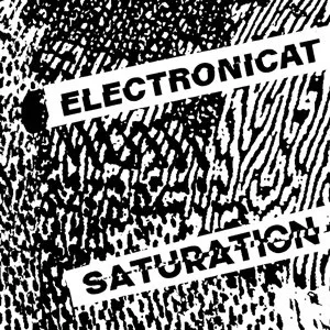 Electronicat