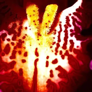 Chrystabell + David Lynch