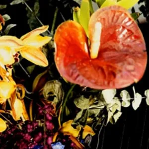 Teho Teardo + Blixa Bargeld