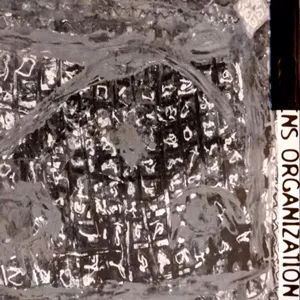 Vas Deferens Organization