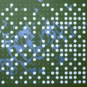 Suzanne Vega + Ensemble Ictus + Collegium Vocale Gent