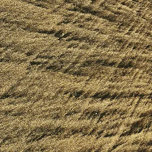 Fred Frith + Karen Stackpole