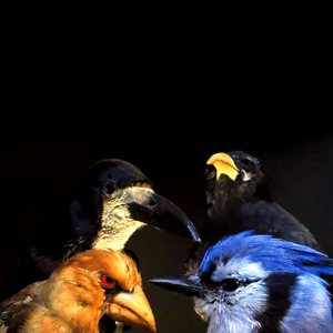 ErikM + Pierre Bastien