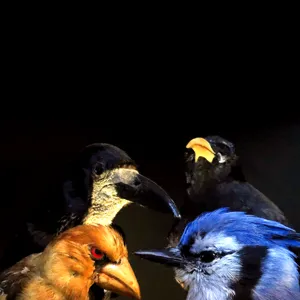 ErikM + Pierre Bastien