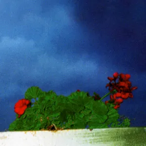 Anne Bourne + Fred Frith + John Oswald